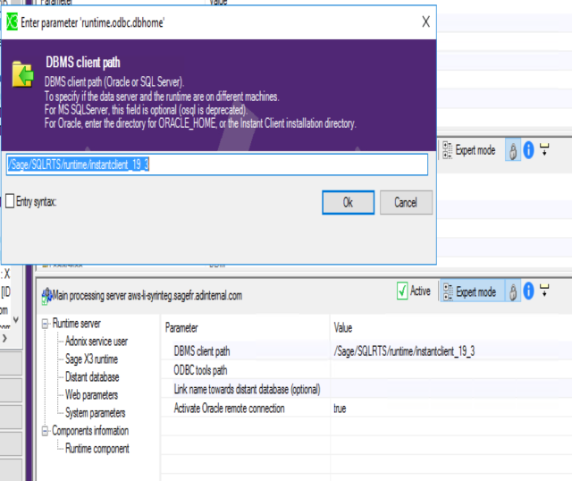 Remote Dbms